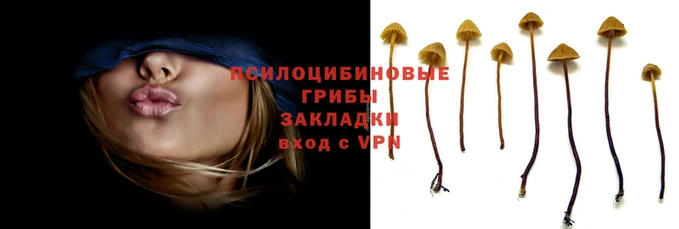 прущая мука Богородицк