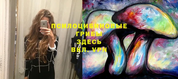 мяу мяу мука Белокуриха