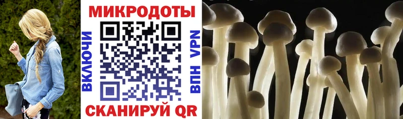 Галлюциногенные грибы GOLDEN TEACHER Севск